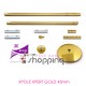 Barre de Pole Dance Xpole Xpert Gold 45mm